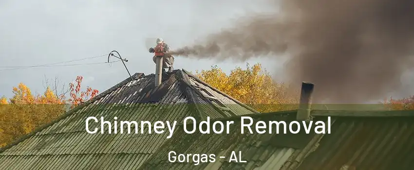 Chimney Odor Removal Gorgas - AL