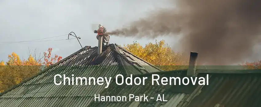 Chimney Odor Removal Hannon Park - AL