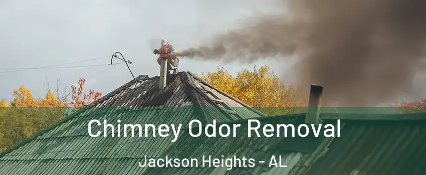 Chimney Odor Removal Jackson Heights - AL
