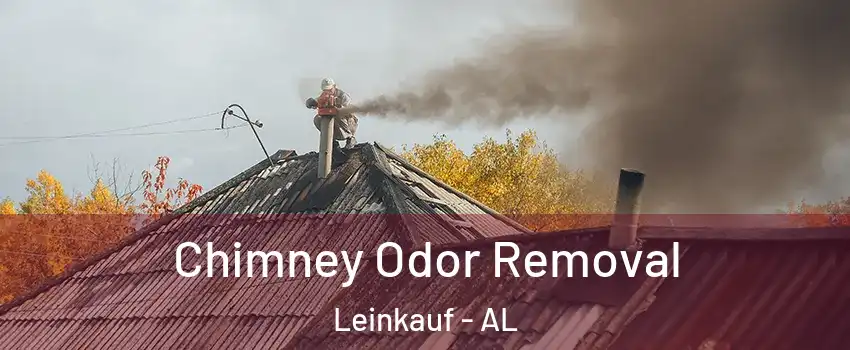 Chimney Odor Removal Leinkauf - AL