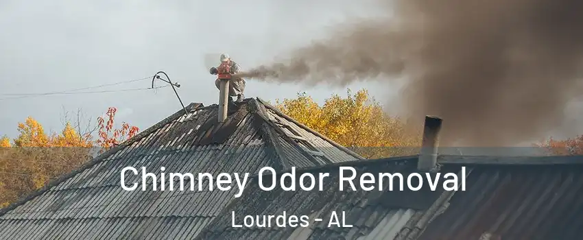 Chimney Odor Removal Lourdes - AL