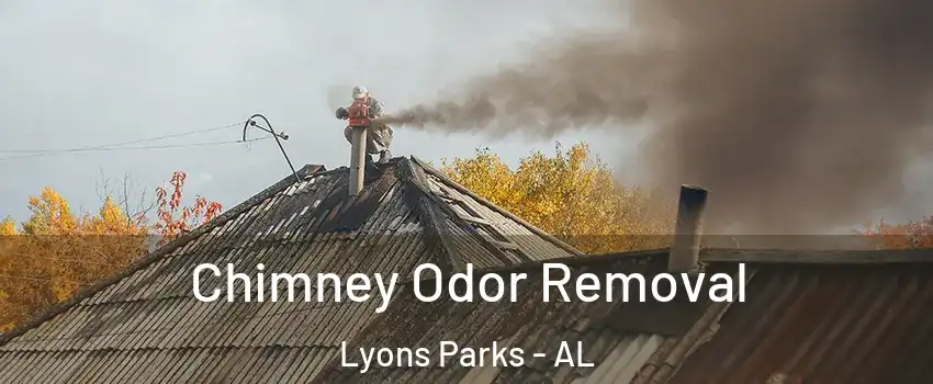 Chimney Odor Removal Lyons Parks - AL
