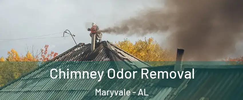 Chimney Odor Removal Maryvale - AL