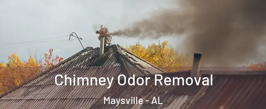 Chimney Odor Removal Maysville - AL