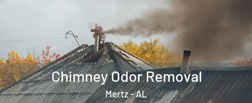 Chimney Odor Removal Mertz - AL