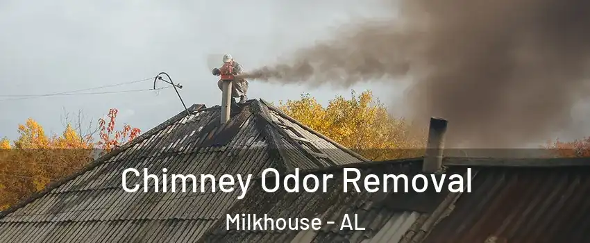 Chimney Odor Removal Milkhouse - AL