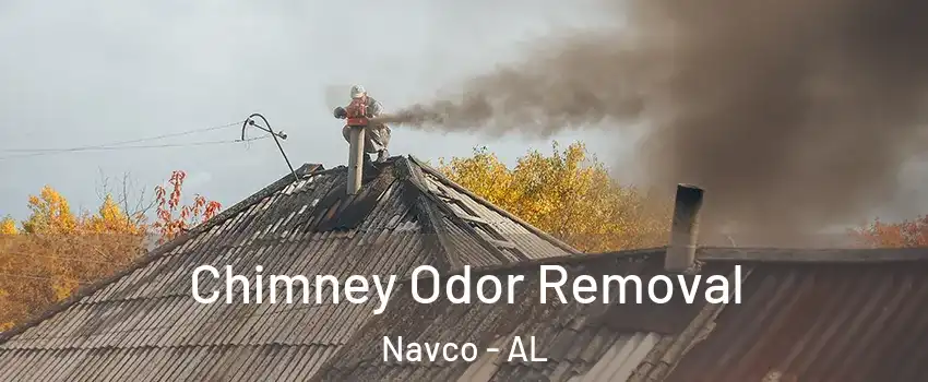 Chimney Odor Removal Navco - AL