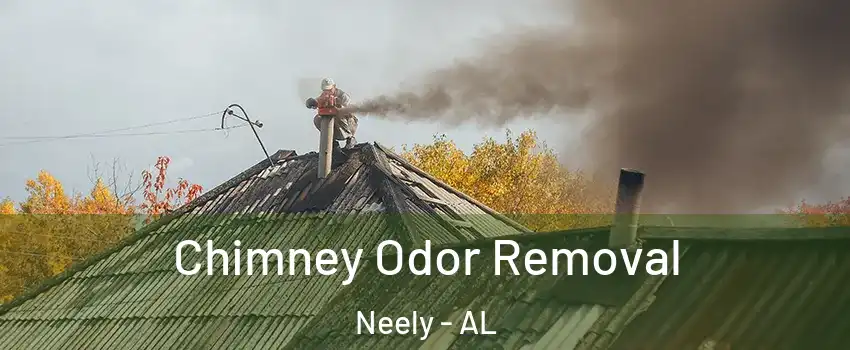 Chimney Odor Removal Neely - AL