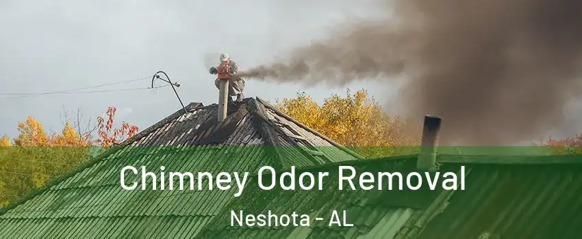 Chimney Odor Removal Neshota - AL
