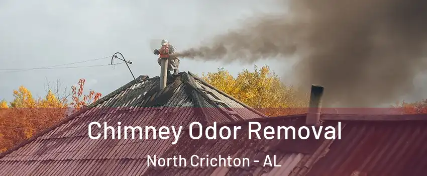 Chimney Odor Removal North Crichton - AL