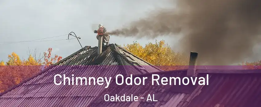 Chimney Odor Removal Oakdale - AL