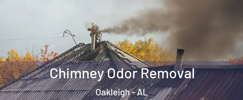 Chimney Odor Removal Oakleigh - AL