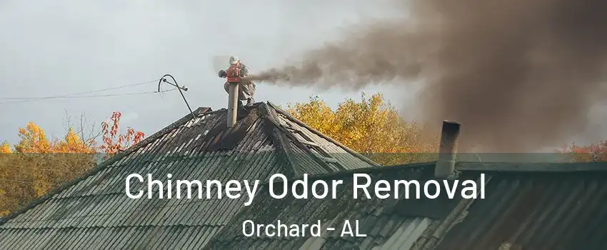 Chimney Odor Removal Orchard - AL