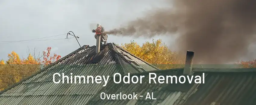 Chimney Odor Removal Overlook - AL