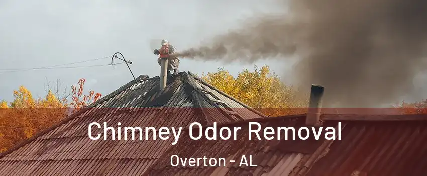 Chimney Odor Removal Overton - AL