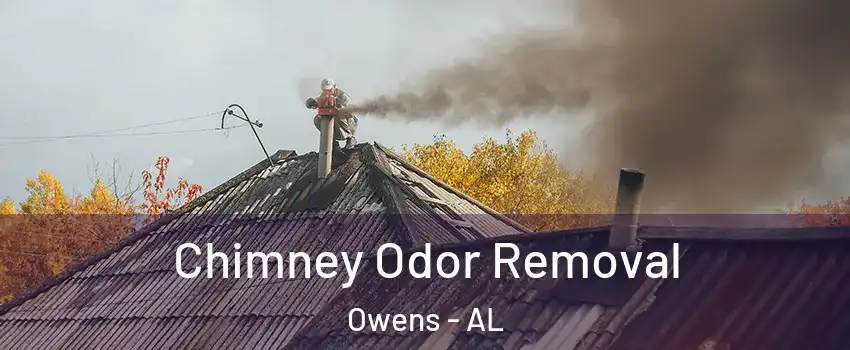 Chimney Odor Removal Owens - AL