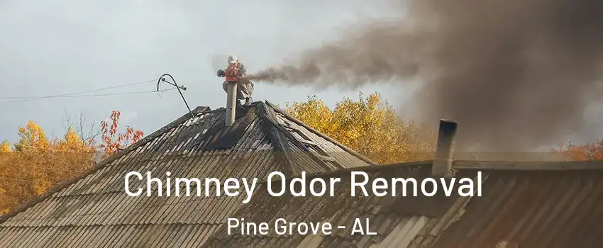 Chimney Odor Removal Pine Grove - AL