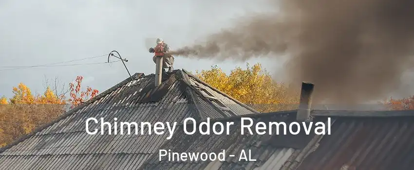 Chimney Odor Removal Pinewood - AL