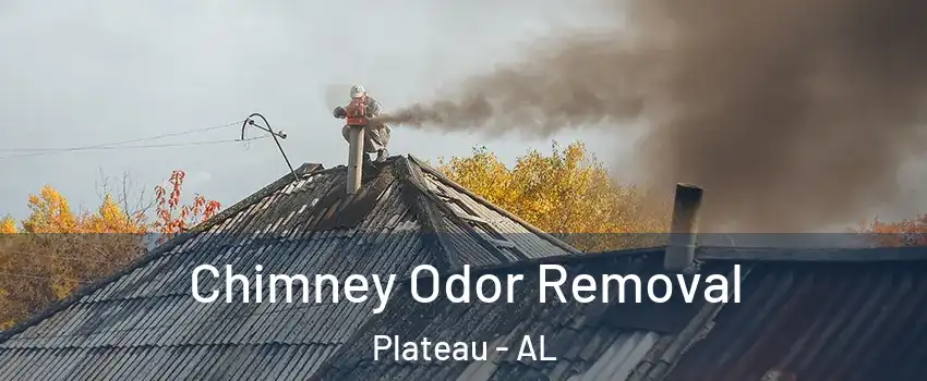Chimney Odor Removal Plateau - AL