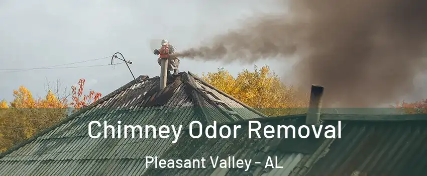 Chimney Odor Removal Pleasant Valley - AL
