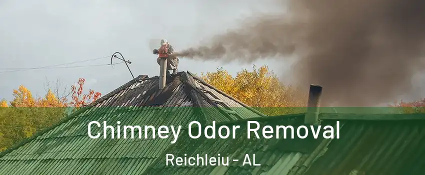 Chimney Odor Removal Reichleiu - AL