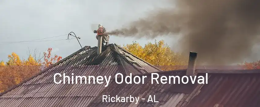 Chimney Odor Removal Rickarby - AL