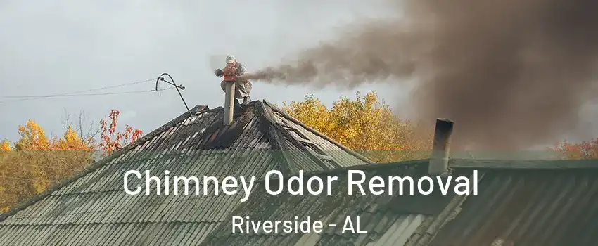 Chimney Odor Removal Riverside - AL