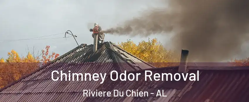 Chimney Odor Removal Riviere Du Chien - AL
