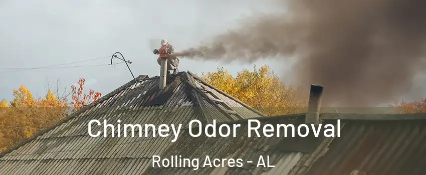 Chimney Odor Removal Rolling Acres - AL