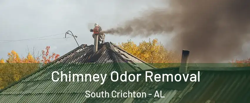 Chimney Odor Removal South Crichton - AL