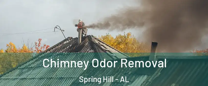 Chimney Odor Removal Spring Hill - AL