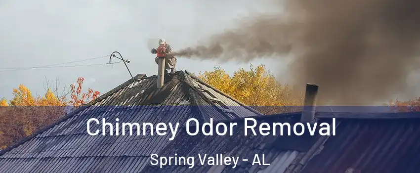 Chimney Odor Removal Spring Valley - AL
