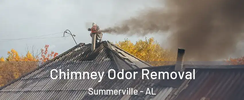 Chimney Odor Removal Summerville - AL