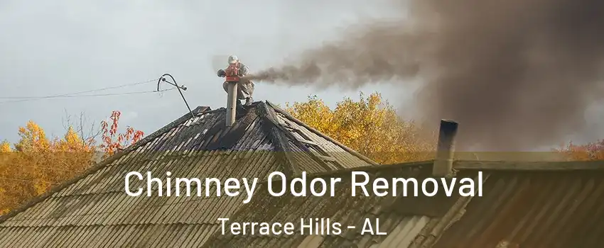 Chimney Odor Removal Terrace Hills - AL