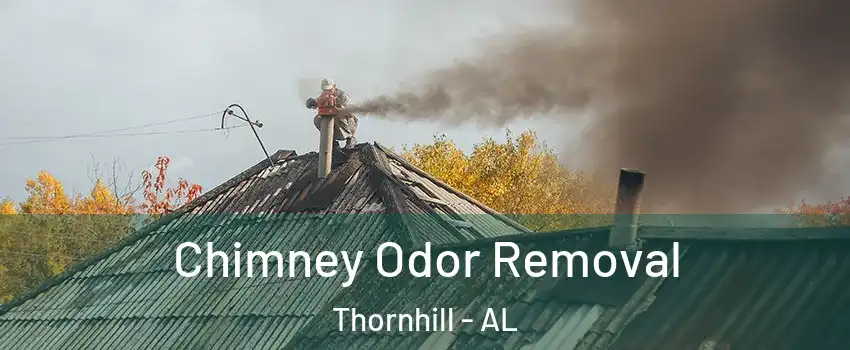 Chimney Odor Removal Thornhill - AL