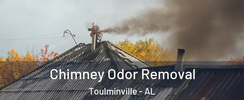 Chimney Odor Removal Toulminville - AL