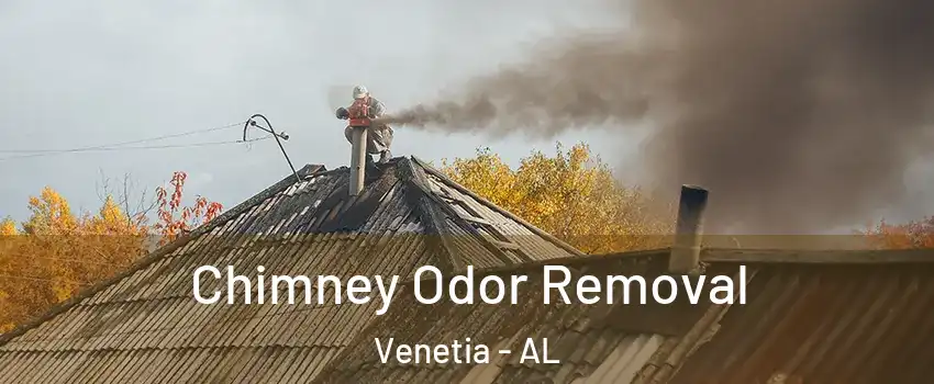 Chimney Odor Removal Venetia - AL