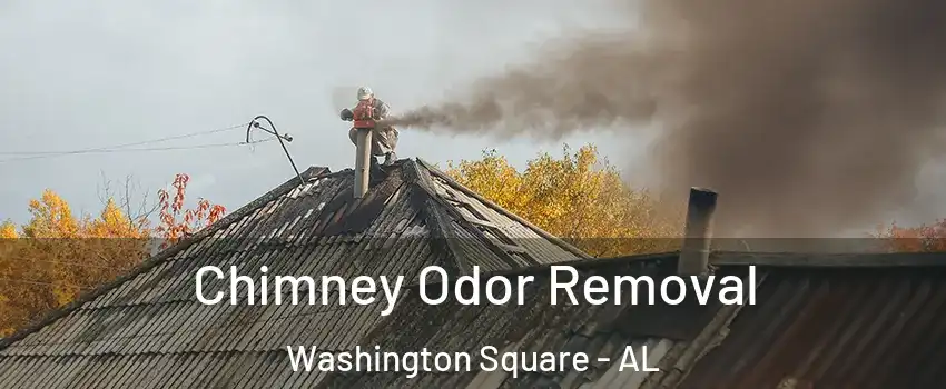 Chimney Odor Removal Washington Square - AL