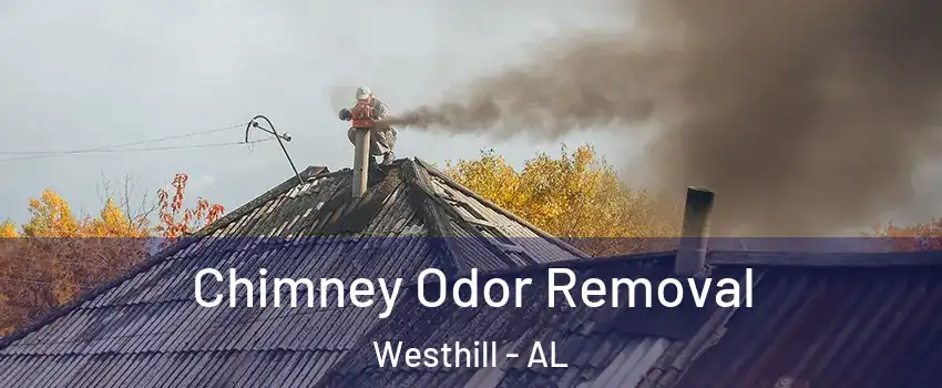 Chimney Odor Removal Westhill - AL