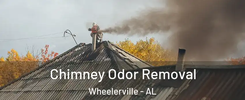 Chimney Odor Removal Wheelerville - AL