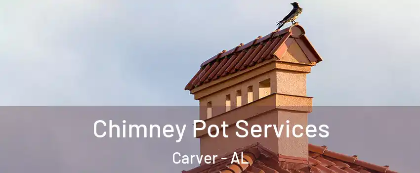 Chimney Pot Services Carver - AL