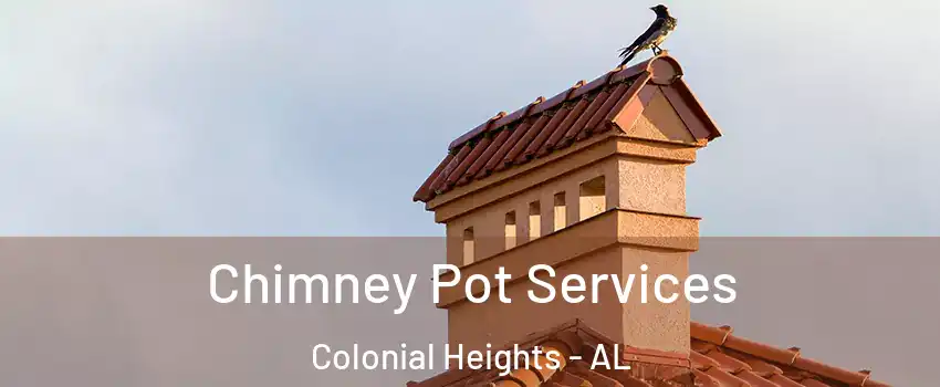 Chimney Pot Services Colonial Heights - AL