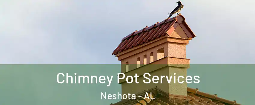 Chimney Pot Services Neshota - AL