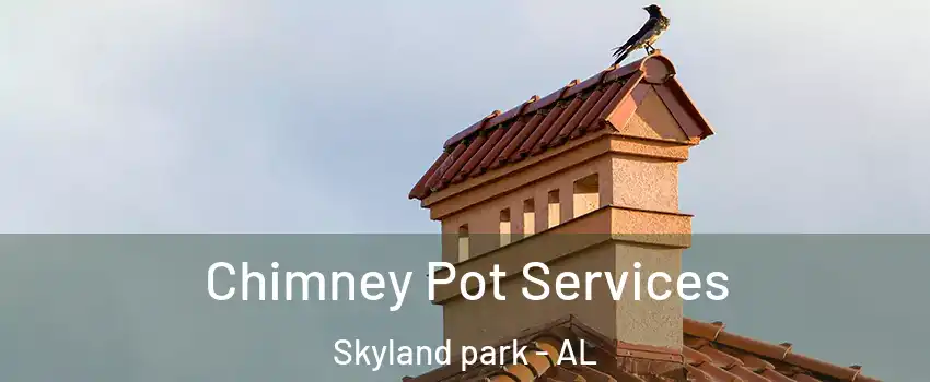 Chimney Pot Services Skyland park - AL