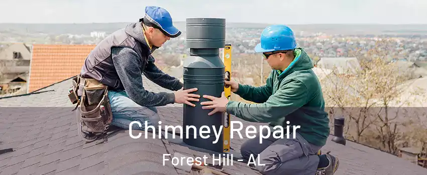 Chimney Repair Forest Hill - AL