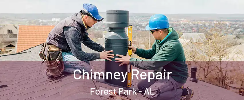 Chimney Repair Forest Park - AL