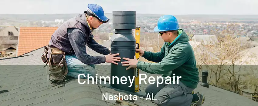 Chimney Repair Nashota - AL