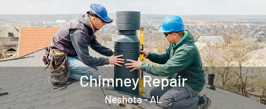 Chimney Repair Neshota - AL