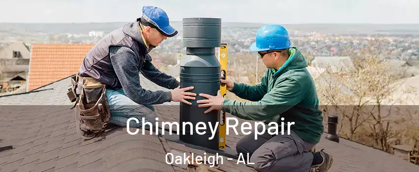 Chimney Repair Oakleigh - AL