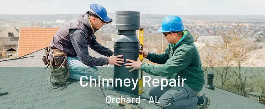 Chimney Repair Orchard - AL